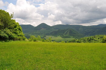 Bukovina